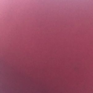 Meet your Posher, Brandi